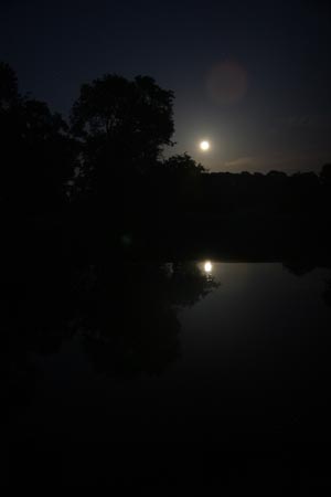 IMG_6249