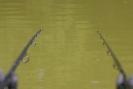 IMG_6278
